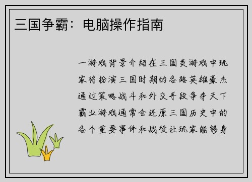 三国争霸：电脑操作指南
